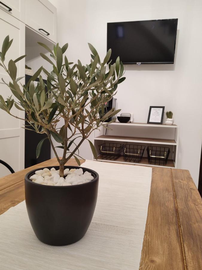 Apartament L'Oliva Contesa - La Nera Gaeta Zewnętrze zdjęcie